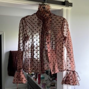 Brown see through with black velvet pol a dots